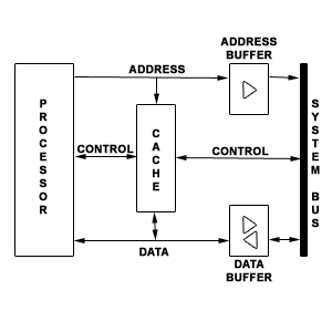 Typical Cache Organization